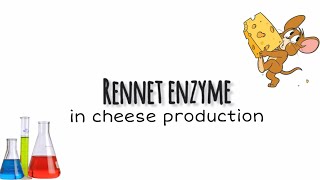 Rennet enzyme in cheese production  overview [upl. by Oluap416]