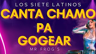 CANTA CHAMO PA GOGEAR  MR FROGS [upl. by Jethro]