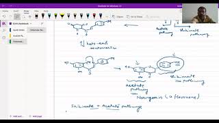 Flavonoids And Isoflavonoids  Biosynthesis  Kirti Patel [upl. by Nerti]