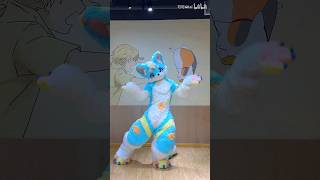 【Fursuit Dance】可可Kitai  AOA LIKE A CAT [upl. by Nilyram]