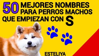 NOMBRES PARA PERROS MACHOS CON S [upl. by Cirle]