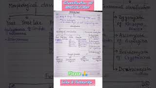 Classification of FungusMycologyFungusDMLT [upl. by Herra]