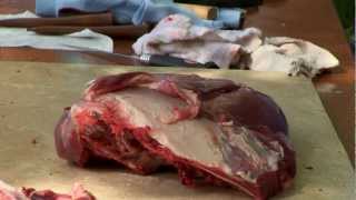 Deer Processing 4 Hind Quarter  Indiana DNR [upl. by Ahsilef]