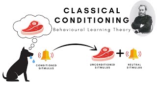 Classical Conditioning Pavlovian Conditioning and SecondorderHigherorder Conditioning [upl. by Ainitsirhc]