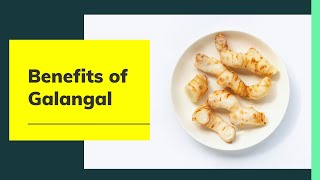 Health Benefits of Galangal  Galangal Nutrition Facts [upl. by Pokorny]