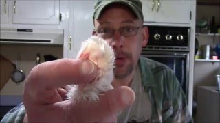 How to Make a Rabbits Foot Keychain [upl. by Myke]