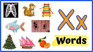 Letter X Words for kids  WORDS THAT START WITH LETTER quotXquot  X Words  Letter X Vocabulary [upl. by Elleunamme]