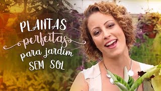 Não bate sol no jardim Estas plantas de sombra são PERFEITAS [upl. by Howlond]