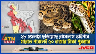 ২৮ জেলায় ছড়িয়েছে রাসেলস ভাইপার মারতে পারলেই ৫০ হাজার টাকা পুরস্কার  Russels Viper  ATN News [upl. by Afatsuom417]