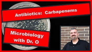 Carbapenem Antibiotics and CRE Microbiology [upl. by Adrianne]