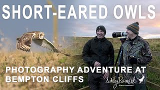 Owl Amazing  Photographing Short Eared Owls [upl. by Pulchia450]