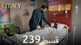 Amanat Legacy  Episode 239  Urdu Dubbed [upl. by Epilihp]