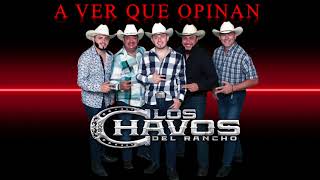 “Suerte he tenido” Los Chavos Del Rancho [upl. by Acissehc]