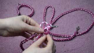 DIY Paracord Hundeleine Rundgeflochten LeniKUNTERBUNT [upl. by Leanatan]