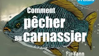 Comment pêcher au carnassier  Pêche et nature [upl. by Asennav]