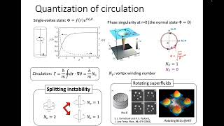 Hiromitsu Takeuchi Isolated Fractional Skyrmions in a Magnetic Quantum Gas [upl. by Jd]