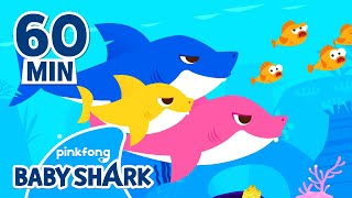 Baby Shark Doo Doo Doo 60 Min  Compilation  Baby Shark Remix  Baby Shark Official [upl. by Limay]