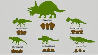 Jurassic World Evolution Triceratops vs Allosaurus Base Genome [upl. by Htiaf]