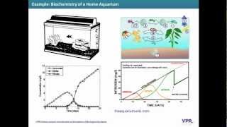 Introduction to Simulation of Biological Systems [upl. by Oile736]