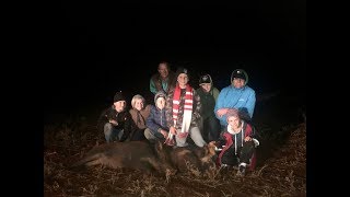 Farm Hunt Fish  Spotlighting Pigs in NSW June 2018 [upl. by Dolorita]