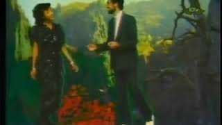 Ethiopian Music Fantish Bekele amp Seyuoum Zewde Fikiren Senjemerew [upl. by Aristotle]