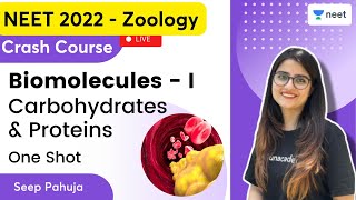 Biomolecules 1  Carbohydrates amp Proteins One Shot  Seep Pahuja  Unacademy NEET  NEET 20222023 [upl. by Larred]