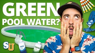 How to Get Rid of POOL ALGAE Green Water  Swim University [upl. by Ai543]