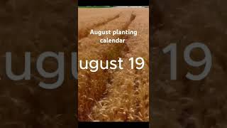 August planting calendar organic Gardening best days to plant above and beyond ground crops [upl. by Barger]