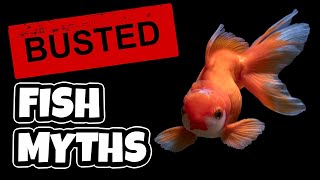 5 Aquarium Myths  How Many did you believe [upl. by Eniladam]