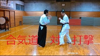 合気道の打撃との戦い方！打撃の捌き組手 覇天会（打撃自由技組手） 合気道 対 打撃 AIKIDO VS striking Fight in Aikido айкидо 合气道 [upl. by Eberta]