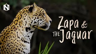 Zapa amp the Jaguar [upl. by Las]