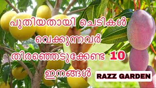 10 fruit varieties to be planted for new gardeners പുതിയതായി വെക്കുന്നവർ തിരഞ്ഞെടുക്കേണ്ട 10 ഇനങ്ങൾ [upl. by Legnalos347]