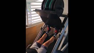 leg press calf raises [upl. by Ayrb]