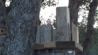 22LR and 243 Winchester penetration test through wood with cinderblock [upl. by Kinata]