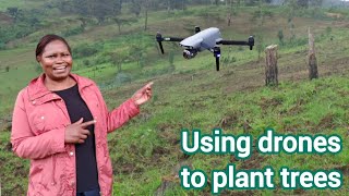 How drones are being used to plant trees and manage forests  PART 3 [upl. by Nomde]