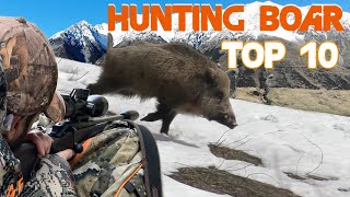 TOP 10 Wild boar hunting in Tajikistan  TOP 10 Chasse au Sanglier au Tadjikistan  2021 [upl. by Tarsuss]