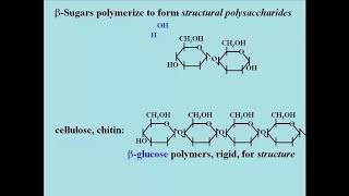 127 Carbohydrates Sugars and Polysaccharides [upl. by Galatia]