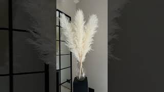 Pampas Grass Decor [upl. by Noedig406]