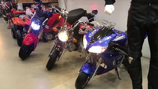 All kinds of Mini Sports bikes [upl. by Wilinski370]