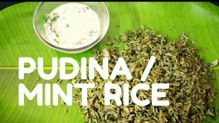 Pudina rice in Tamil Mint rice recipe  Mint rice in Tamil Lunch box recipesKovai sisters kitchen [upl. by Nhguavad]