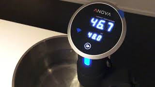 Anova Precision Cooker Wifibluetooth [upl. by Lednahs]