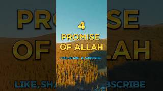 4 Promise Of Allah ☪️😇 islam allahﷻ shorts [upl. by Okechuku]