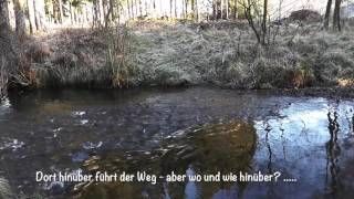 Wanderung durch das Hevetal im Arnsberger Wald  03122016 [upl. by Hasseman31]