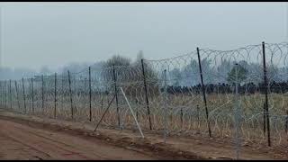 Migranci koczujący po stronie białoruskiej opuszczają obozowisko  Poland Belarus border conflict [upl. by Atteniuq103]