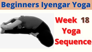 Iyengar Yoga Sequence for Beginners Week 18 Iyengar Yoga Sequence 55 minutes Yoga at home [upl. by Nielsen]