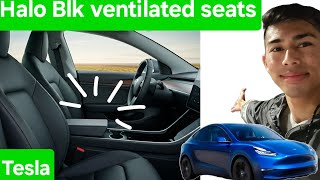 Upgraded Comfort Ventilated Seats in My Tesla Model 3 [upl. by El360]