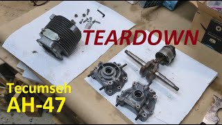 AH47 Engine Teardown  Sears Chainsaw Restore [upl. by Emerald]