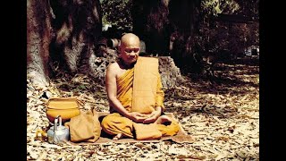 Ajahn Chah  Speaking Straight on Meditation and Sila in Thai amp English [upl. by Kiona]