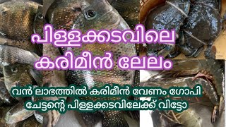 കരിമീൻ ലേലം karimeen lelam pillakadavile lelam പിളക്കടവ് [upl. by Gilroy]