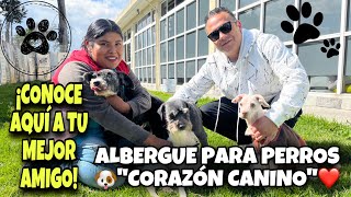 🐶Así es un ALBERGUE de adopción para perros  ❤️Corazón Canino A C  Todo lo que debes saber [upl. by Miki860]